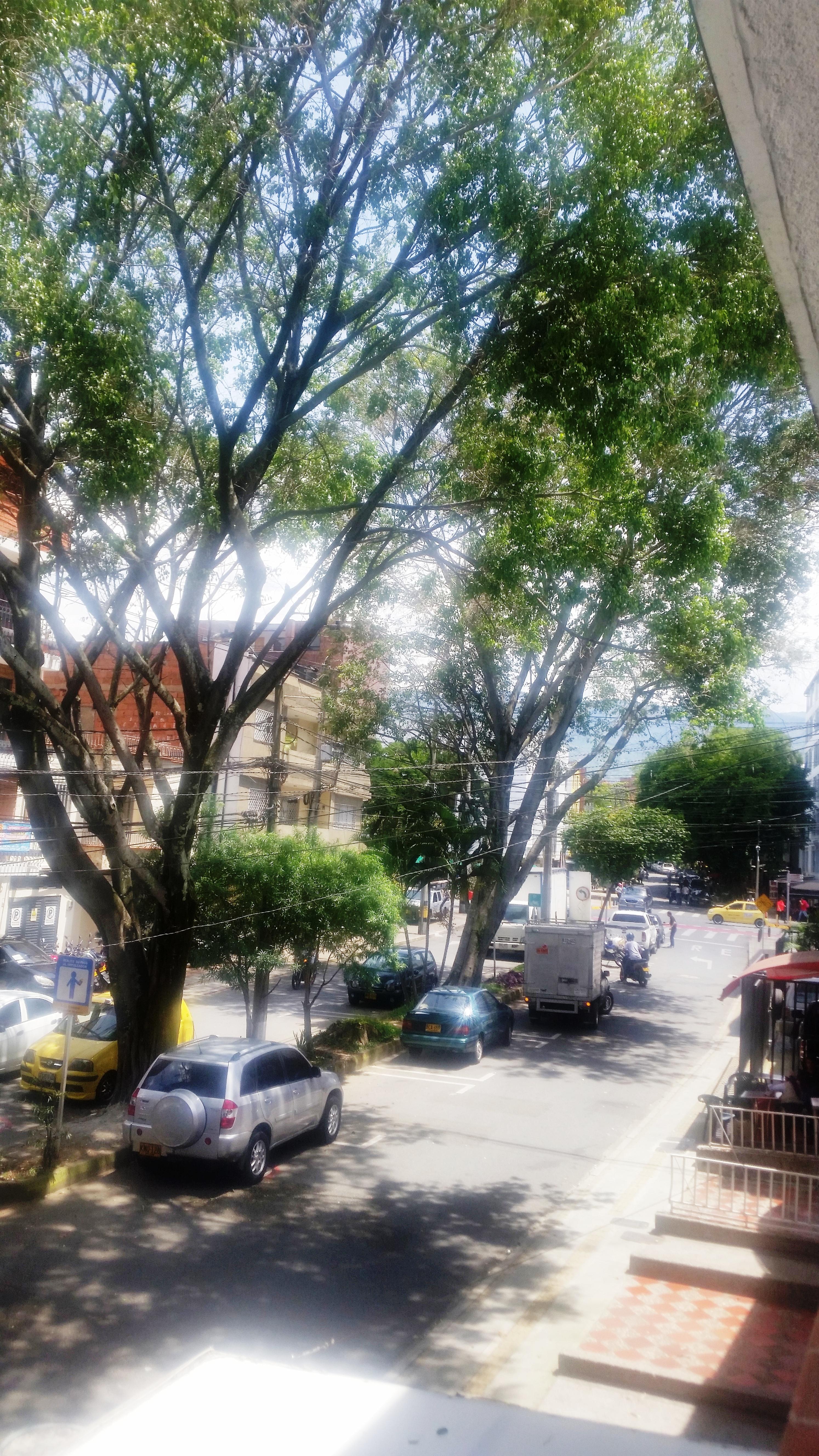 Hotel Quinta Avenida Medellín Exteriér fotografie